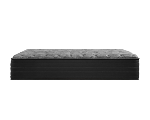 MATELAS SEALY ENERGY FIRM